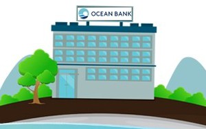 [INFOGRAPHIC]: Điều "cực lạ" trong HĐQT 2015 của Ocean Bank
