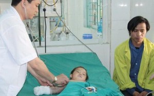 Cùng mẹ đi nương, bé 2 tuổi bị rắn độc cắn nguy kịch