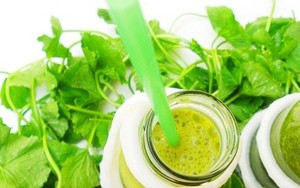 Những công dụng không ngờ cho sức khỏe từ rau má