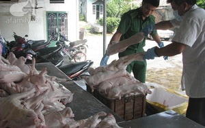 Thịt lợn thối được tiêm thuốc an thần, ngâm hóa chất để biến thành thịt tươi
