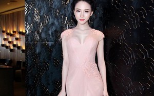 Trương Hồ Phương Nga: Đăng quang, mâu thuẫn với mẹ và bị bắt giữ