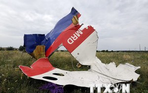 Xuất hiện thông tin điệp viên CIA chỉ đạo vụ bắn rơi MH17