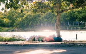 Hình ảnh gia đình nằm ngủ dưới gốc cây khiến lòng người thổn thức
