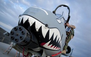 Cho cường kích A-10 "về vườn", Mỹ sẽ mua máy bay nào thay thế?
