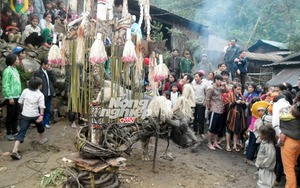 Ôm nợ vì đâm trâu
