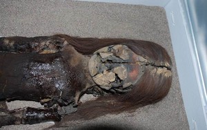 Điều bí ẩn khiến xác ướp cổ nhất thế giới chuyển màu