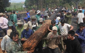 ​Gia Lai: Lửa thiêu rụi nhiều nhà ở làng Bana trăm tuổi