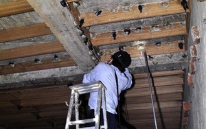 Những ngôi nhà yến tiền tỷ ở Quảng Ngãi