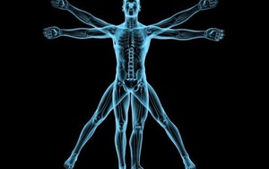 Sự thật thú vị về cực khoái, trứng, tinh trùng và nhiều thứ nữa