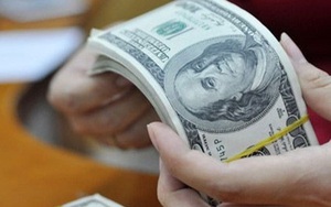 Phía sau 8 tháng lặng sóng của tỷ giá USD/VND