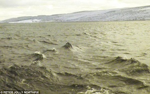 Bằng chứng ‘quái vật hồ Loch Ness’ tồn tại?