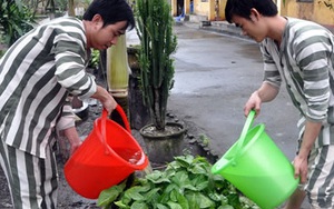 Vì sao tử tù bỗng dưng... muốn chết?