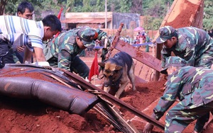 Lực lượng đặc biệt trong tìm kiếm, cứu nạn