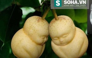 Lê thần tài Trung Quốc chứa chất bảo quản vẫn bán chạy ở Việt Nam