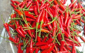 Tác dụng của việc ăn ớt hàng ngày