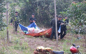 Vụ nổ súng 3 người chết ở Đắk Nông: Bắt giám đốc công ty Long Sơn