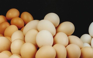10 điều ngộ nhận về trứng gà mà có thể bạn không biết