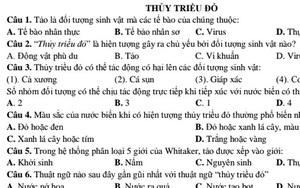 Thầy giáo trường chuyên ra đề thi về thủy triều đỏ