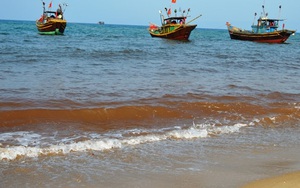 Vệt nước lạ mầu ở Quảng Bình không phải thủy triều đỏ