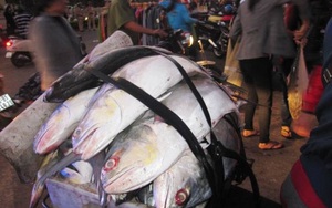 CSGT phải dẹp đường vì hàng trăm người dân đổ xô đi mua cá Bè Xước