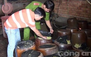 Hãi hùng công nghệ sản xuất giá bằng thạch cao, bột đá vôi và hóa chất