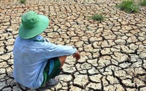 Hạn hán, nhiễm mặn gây thiệt hại hơn 15.000 tỷ đồng