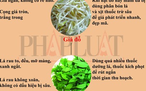 Infographic: 10 loại rau củ 'tắm' hóa chất nhiều nhất (P1)