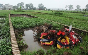 “Ăn rau trồng ở nghĩa địa dễ mắc bệnh”