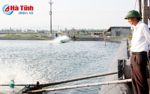 Biến đồng hoang thành trang trại "đẻ" tiền tỷ