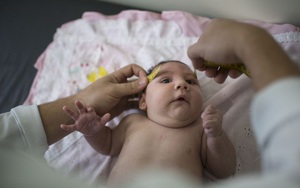 TP HCM: Sợ dịch Zika các thai phụ thi nhau đi khám bệnh