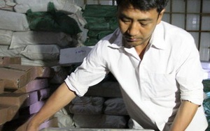 Lấy thêm mẫu cá nục tại Quảng Trị để xét nghiệm