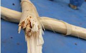 Nghi án con lỡ đánh mẹ tử vong nên cắt mạch máu tự tử