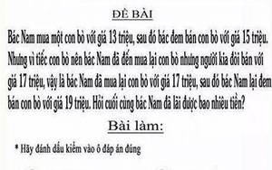 Bài toán con Bò: Tranh cãi không ngớt chuyện "Ai thông minh hơn học sinh lớp 3"