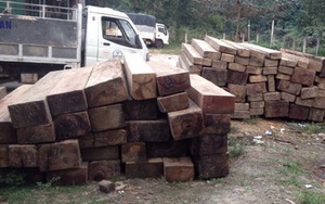 Quảng Nam phát hiện 90 phách gỗ kết bè dưới sông