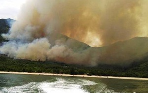 Tan hoang sau đám cháy dữ dội khu vực rừng Nam Hải Vân