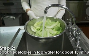 Hướng dẫn rửa rau củ quả đúng cách để loại bỏ thuốc trừ sâu, vi khuẩn