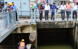 Phản ứng nhanh để bảo vệ cá ở Nhiêu Lộc - Thị Nghè