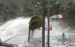 Bão Nida mỗi giờ đi khoảng 20km và tiếp tục mạnh hơn