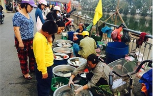 Dân Hà Thành xếp hàng mua đậu phụ đầu năm