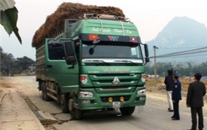 Giám đốc bắt xe quá tải, đình chỉ Chánh thanh tra