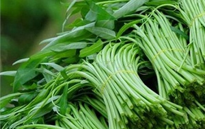 GS Lân Dũng 'cạch' ăn vỉa hè vì sợ ung thư