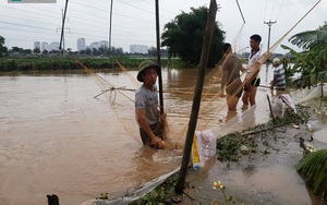 Đổ xô bắt cá sau ngập nặng ở Hà Nội, nhiều người kiếm tiền triệu