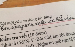 Học sinh đặt câu “Em tặng mẹ một con hiểu bài” khiến dân mạng đứng hình