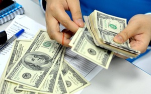 Ba tháng thức đêm, bí quyết vợ chồng trẻ kiếm 2.000 USD tiêu Tết