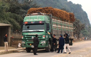 Lý do Giám đốc Sở GTVT Thanh Hóa “trảm" Chánh Thanh tra?