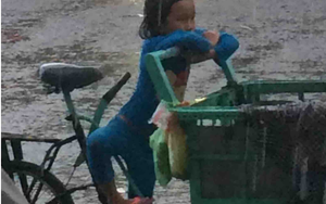 Đứa trẻ 5 tuổi và xe chở dừa giữa trời mưa khiến ta chạnh lòng