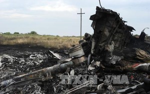 Hà Lan lộ kết luận chính Ukraine bắn hạ MH17