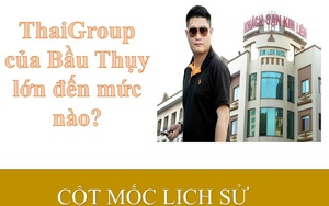 [Infographic] ThaiGroup của Bầu Thụy lớn đến mức nào?