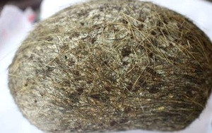 Cả làng xôn xao vì phát hiện 'vật lạ' trong bao tử heo