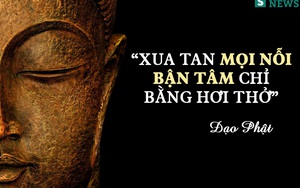 [Quotes] Triết lý sức khỏe sâu sắc đừng bao giờ quên (3)